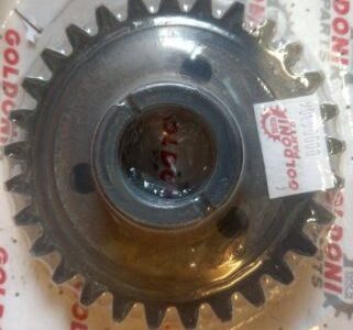 Pinion  GOLDONI 00006306