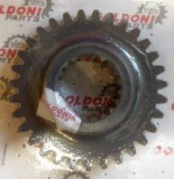 Pinion  GOLDONI  00013245