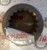 Bucsa GOLDONI 00026010