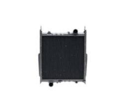Radiator Fendt G117200050200