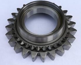 Pinion Fendt G198100080010
