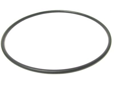 O-ring  Fendt X548922366000, F284200310030
