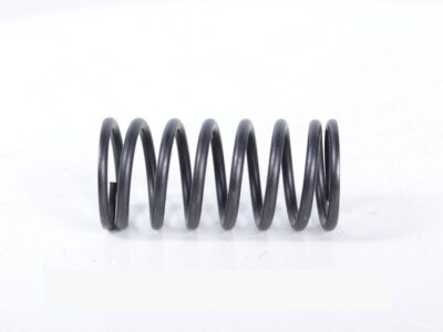 Arcuri supape motor SW-680 PL236490 PL236489