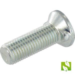 41650360235 - Surub de plug Oval