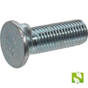 41650360257 - Surub de plug Oval