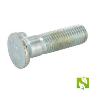 41650360258 - Surub de plug Oval