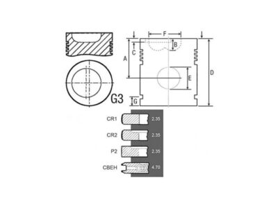 Piston Complet New Holland + 0.020'' - 0.51 MM
