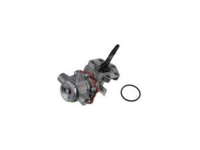 Pompa Alimentare Hanomag 701, 500E, Robust901E