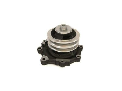 Pompa Apa Case 3136053R93, 3136053R92 , 3136053R1 74702006 S.63071 VPE1021 74702006 3132739R93