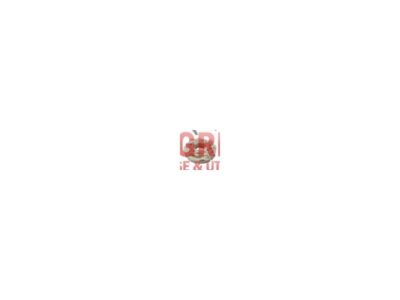 SEGMENT GERINGHOFF 001850