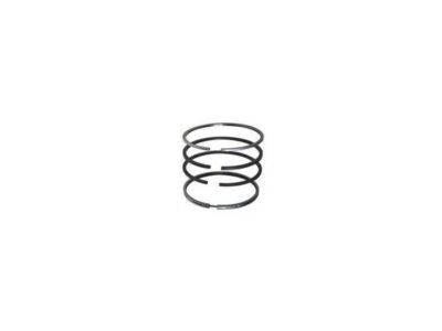 SEGMENTI MOTOR FENDT Ø 95 MM - STD F024200410400, F150204310030, 7701201591