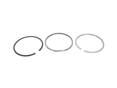 SEGMENTI MOTOR FIAT Ø 100 MM - STD 1908738 1908738 1930169 S.62028 ,1908738, 1930169, 82982153, 34-255