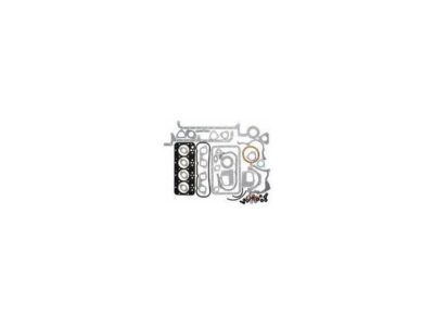 Set Garnituri Motor Fiat 550 SF1909323