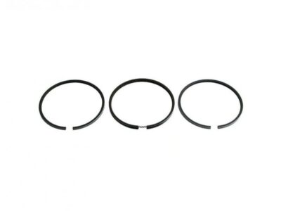 Set Segmenti Motor CASE 3218920R91 3218920R91N 87556000