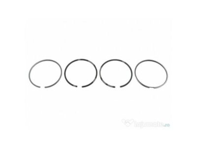 Set Segmenti Motor Massey Ferguson 3931644M91 40145 41158038