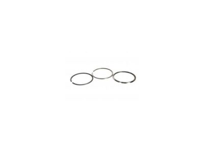 SET SEGMENTI MOTOR Ø 100 MM - STD 3637032M91 4181A021 3637032M91, 4181A013, 4181A016, 4181A021, S.43175,08-324300-00 3637032M91