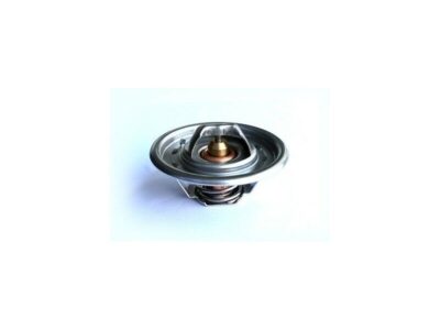 Termostat Massey Ferguson 38857,12485668, 2485639, 2485655, 2485696, 33873,1446222M91