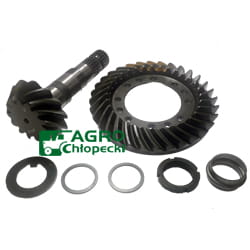 068229 Grup conic fata