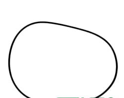 2.1530.294.0 Oring