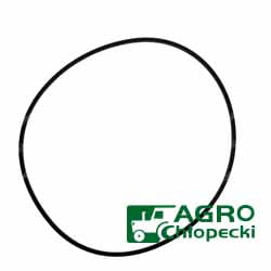 3541506M1 Oring