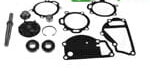 3637482M91 KIT REPARATIE POMPA APA MASSEY FERGUSON 3637482M91, 3640326M91, 3641315M91, 3641383M91, 4224216M91, 747444M91, 89012, 89034, U7LW0006, U7LW0029, U7LW0042, U7LW0043, U7LW0053, U7LW0058, U7LW0078, U7LW0095, U7LW0110, U7LW0170