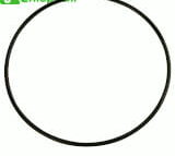 6000104508 Oring