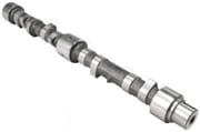6005000530 Arbore cu came