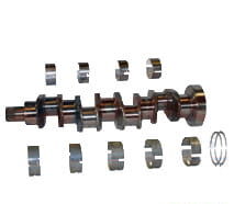 6005005039 Arbore cotit