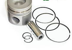 6005010609 Piston motor