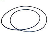 6005019079 Oring