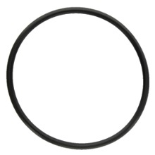 7700022698 Oring