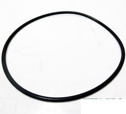 7700031643 Oring