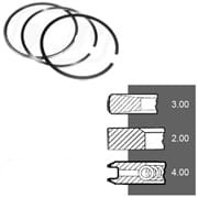 7701032469 Set segmenti motor NPR STD