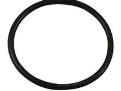 Oring 1006234M1