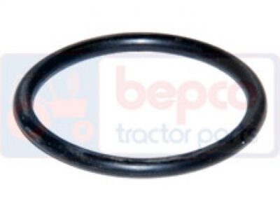 Oring T19687