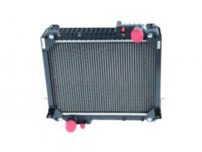 Radiator apa 3810864M2