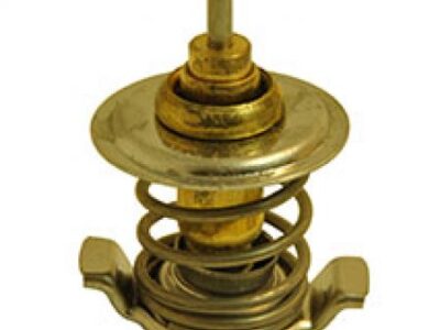 Termostat 04198786
