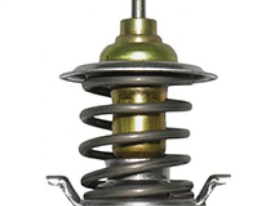 Termostat 04204796