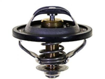 Termostat 2858050