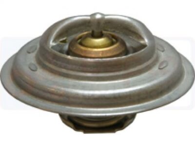 Termostat 3118127R1
