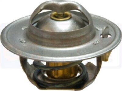 Termostat 6005012123