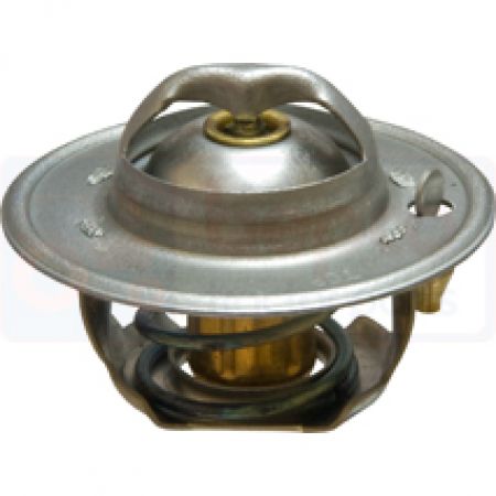 Termostat 6005012123