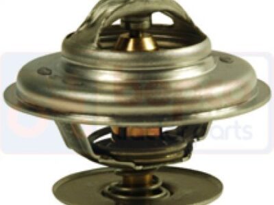 Termostat 80005902