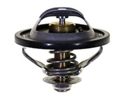 Termostat 84383461