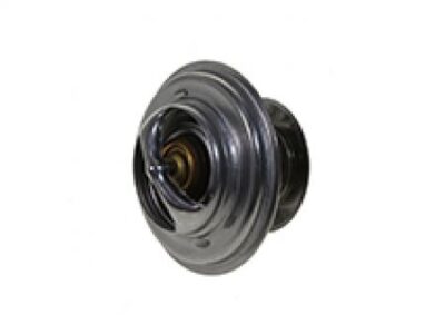 Termostat F119200050040