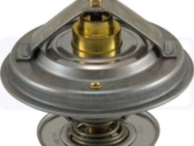 Termostat F824200050060