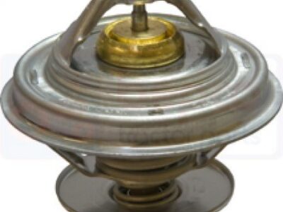 Termostat V836331590