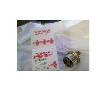 Termostat 145640-48410