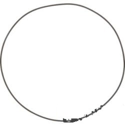 028575 Oring