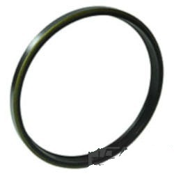 040965R1 Oring